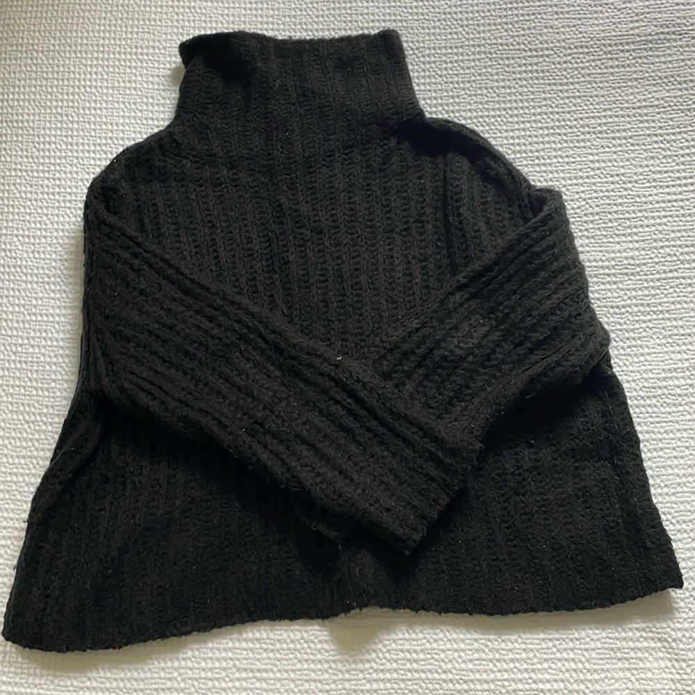 Free People Turtleneck Sweater